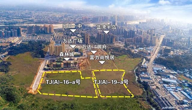 乐山土地拍卖最新消息,全身心数据计划_游戏版6.72.552