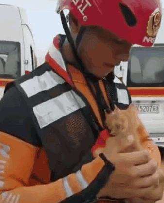 四川邻水子中最新动态,四川邻水子中的新篇章,最新动态与发展展望