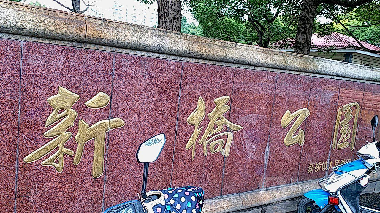 南通新桥公园最新消息,南通新桥公园最新动态,一座生态与文化的融合之地