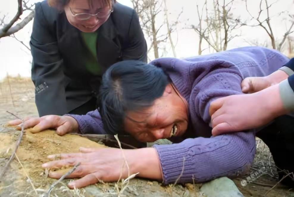 郑成月最新情况还好吗,郑成月最新情况,一路前行的星光