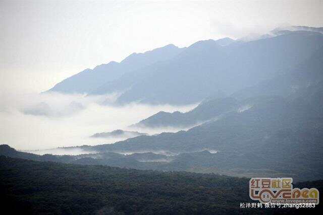 南宁大明山最新消息,灵活性执行方案_云技术版2.67.791