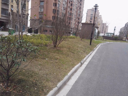 正场花苑最新消息,正场花苑最新消息