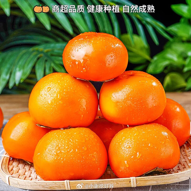 柿霸最新价,柿霸最新价,如何获取与了解柿霸价格指南