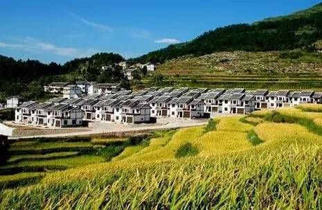 最新英粉村,最新英粉村的温馨日常