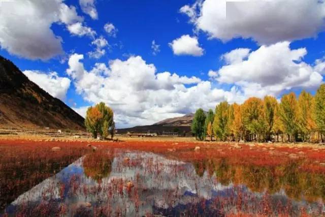 上海最新增加,探索自然美景的旅行,寻找内心的平和