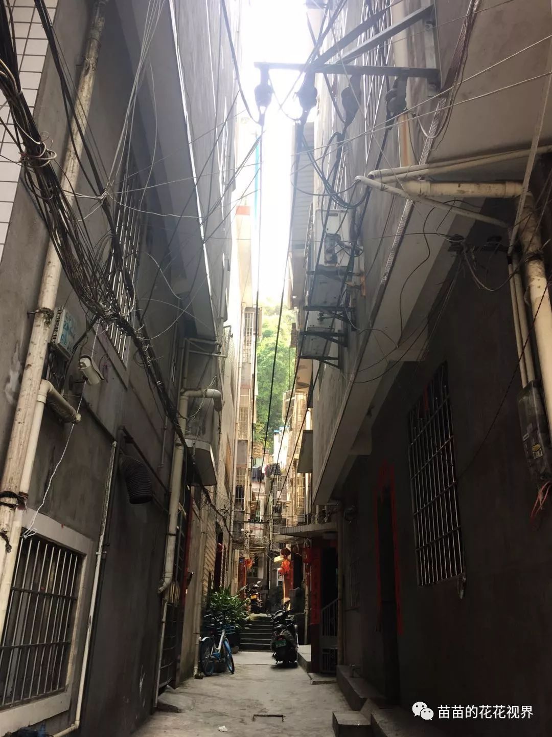 流感最新更新,巷弄深处的流感守护者——一家隐藏在小巷中的特色小店的故事