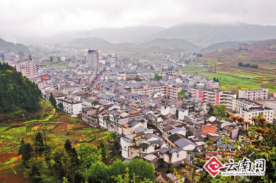安溪县最新,小巷深处的独特风味