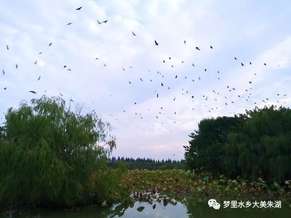 大爷操影院最新,一场自然美景的心灵之旅