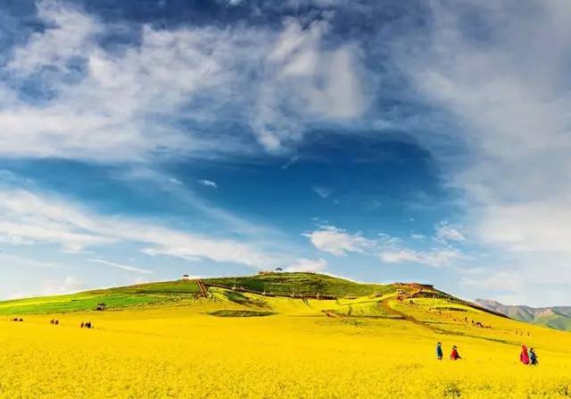 大爷操影院最新,一场自然美景的心灵之旅