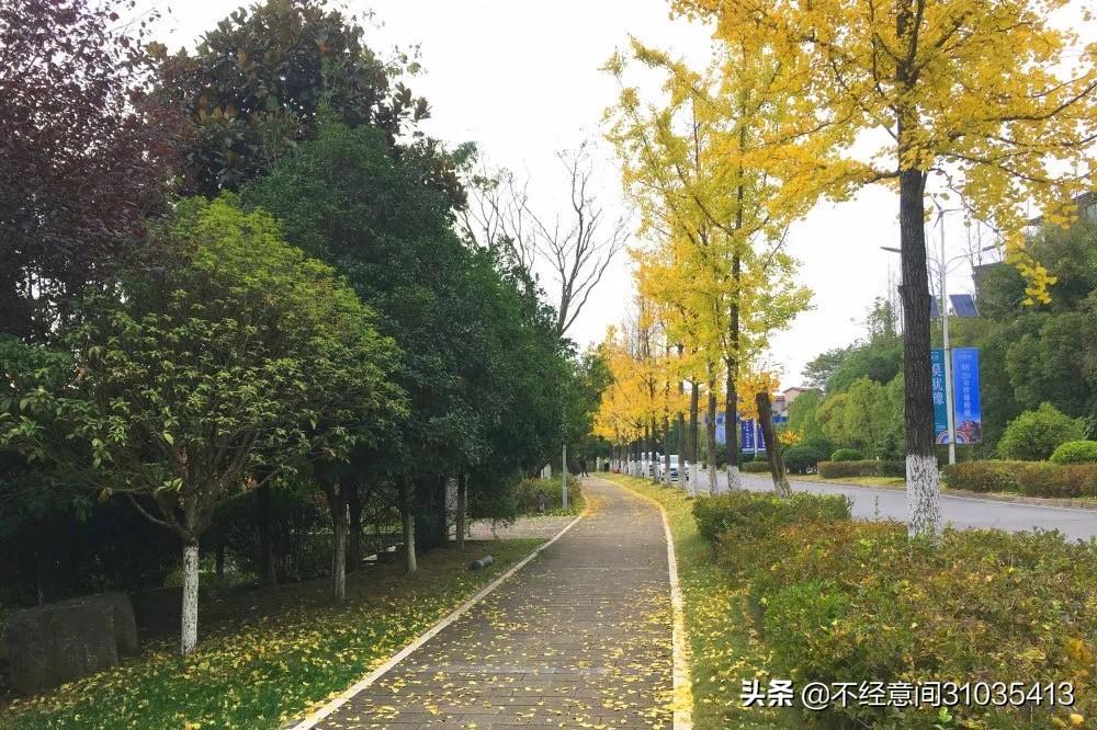 中铁社招最新,一场探索自然美景的旅行邀请