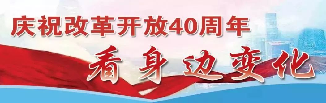 最新年改消息,一场时代变革的回顾与影响
