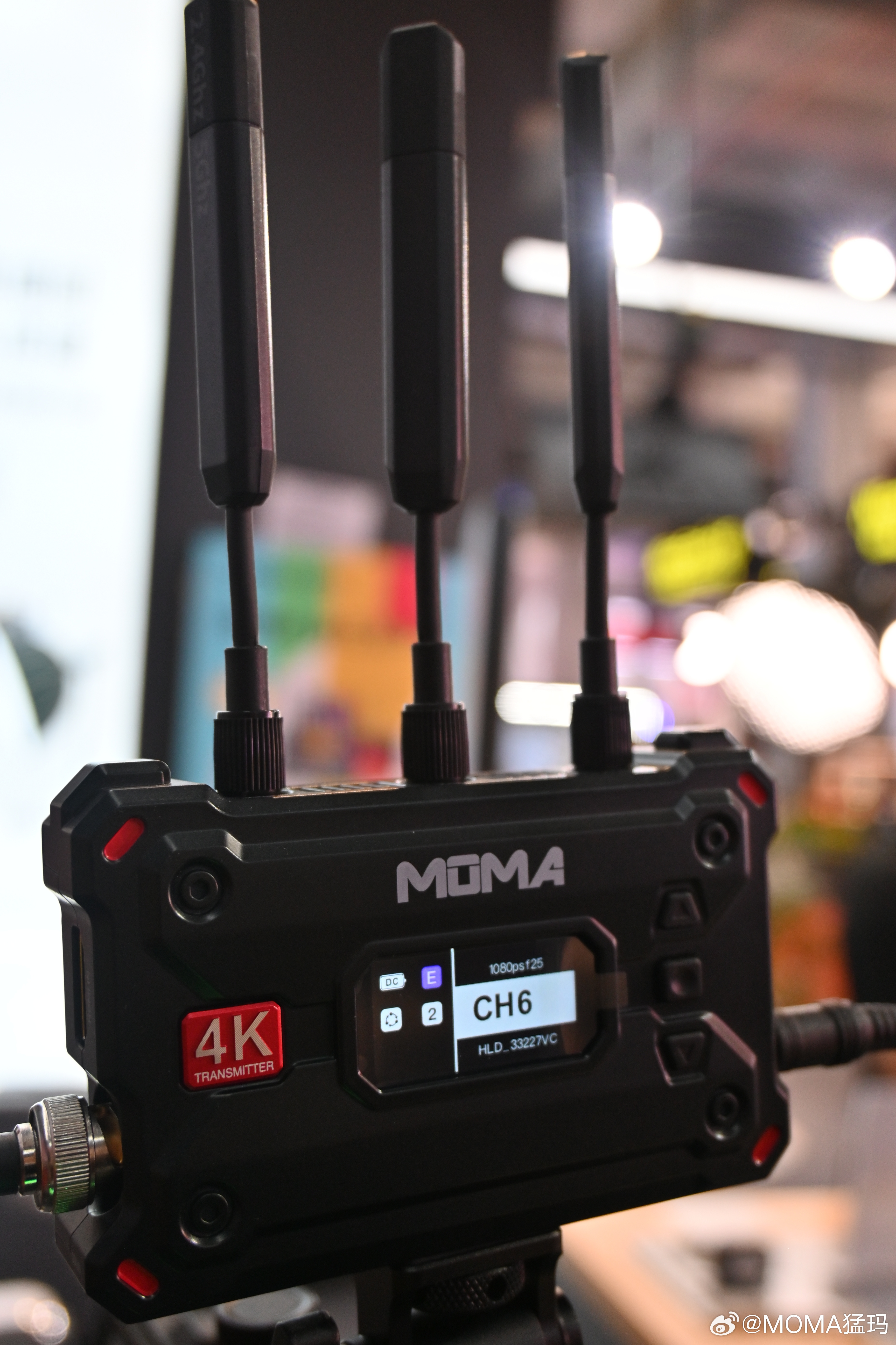 猛犸图传最新,冰原上的暖心故事