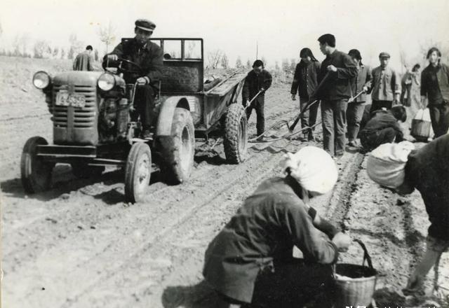 最新号接码——科技革新生活的神奇产物