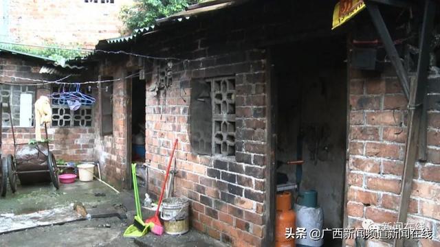 新密岳村最新,巷弄深处的隐藏瑰宝