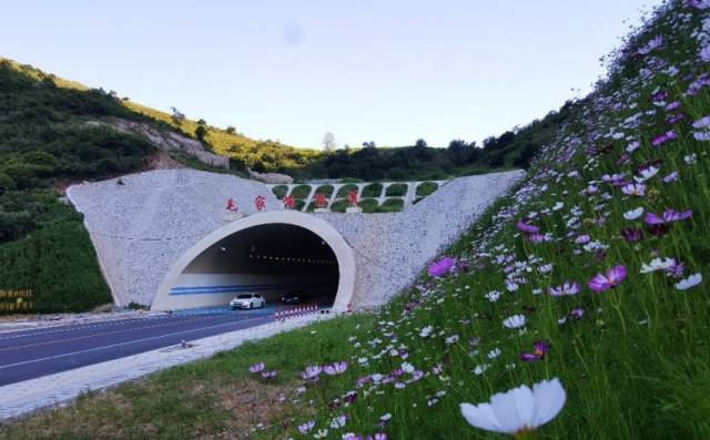 津雄高铁最新消息,自然美景之旅的启程号角已经吹响!