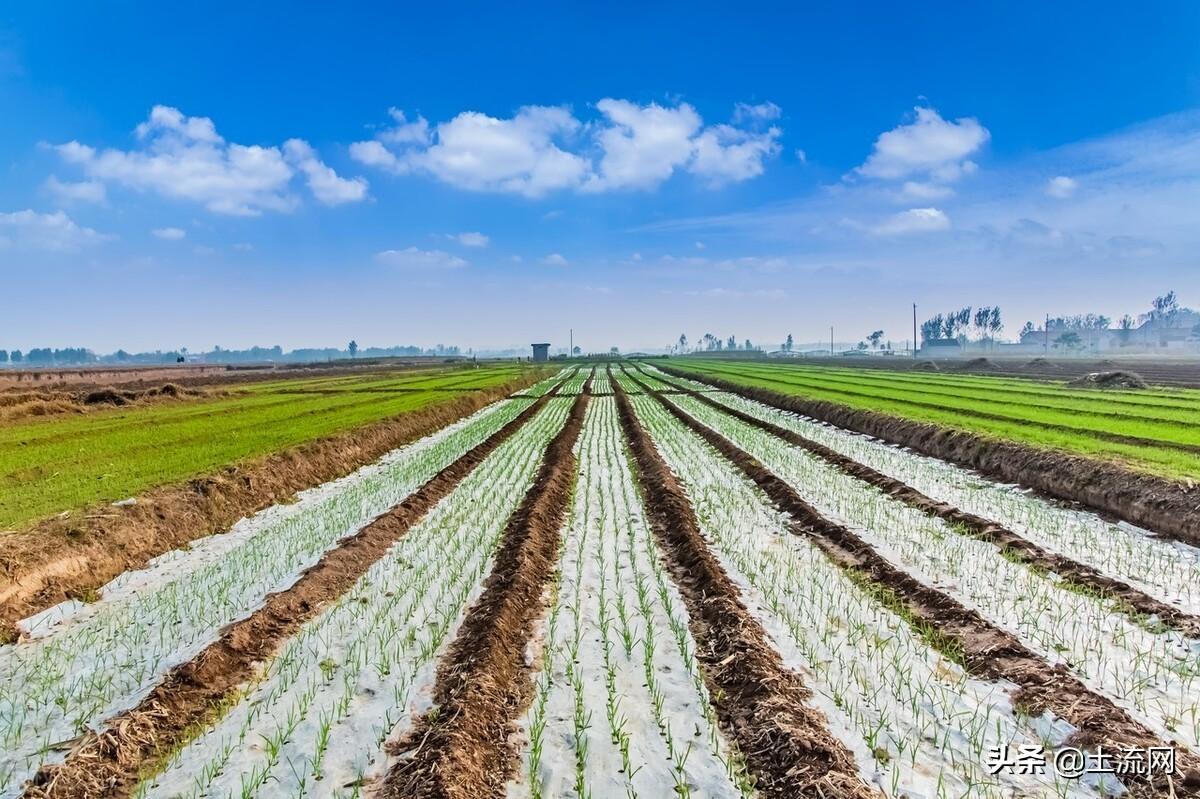 项城新闻最新消息,折迁中的温馨故事