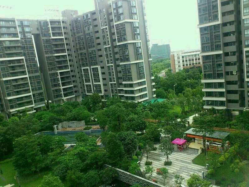 海口最新楼盘的日常故事——家的温馨与友情的深度