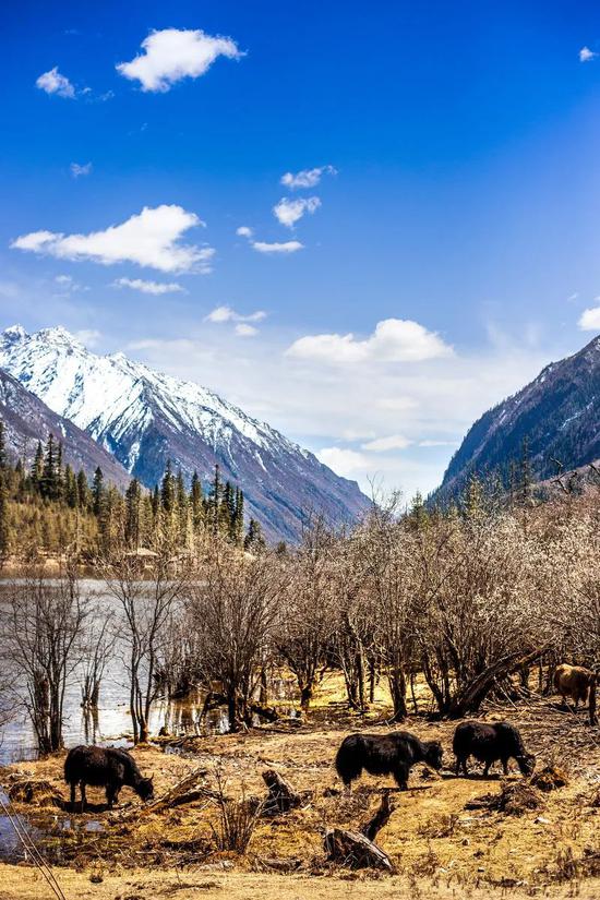 新闻时评最新,探索自然美景的旅行,寻找内心的平和与宁静