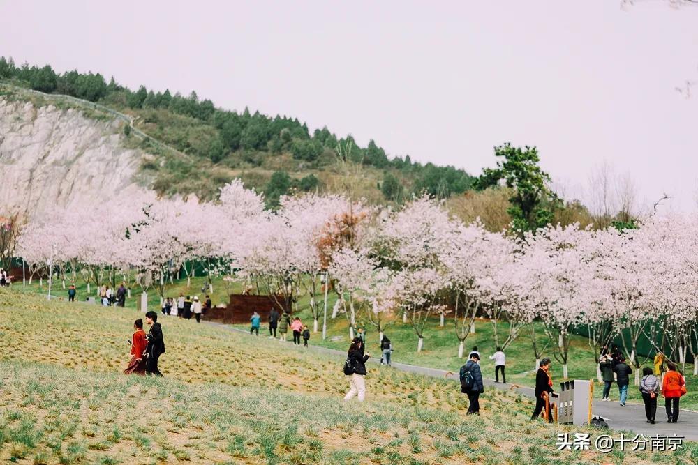 江宁最新招聘,小巷中的隐藏宝藏,一场独特的工作探索之旅