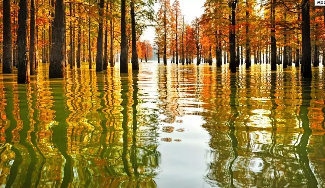 最新电影下载app,数字时代的电影之旅