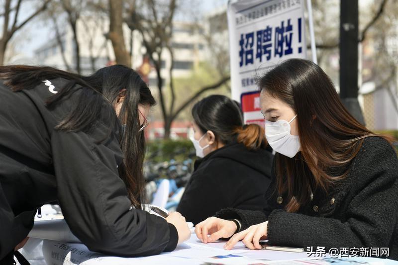 西安招聘网的奇妙缘分,一份工作的温馨故事