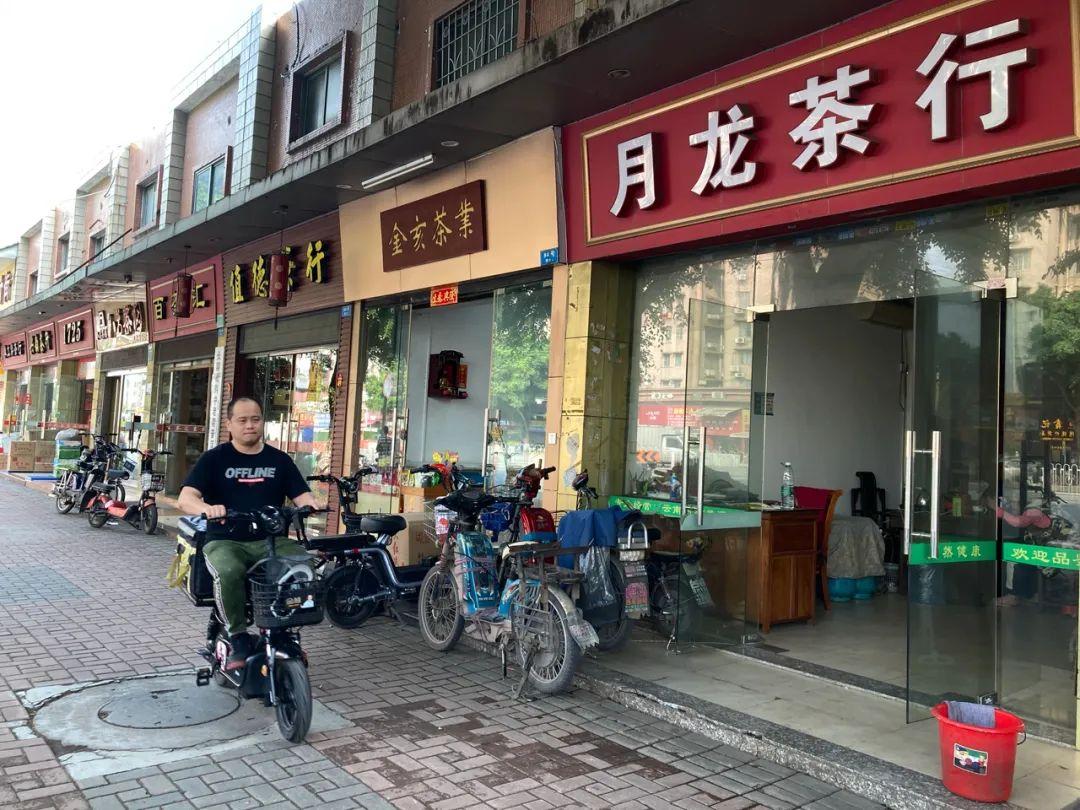 大益茶最新价格,市场走势与各方观点探讨