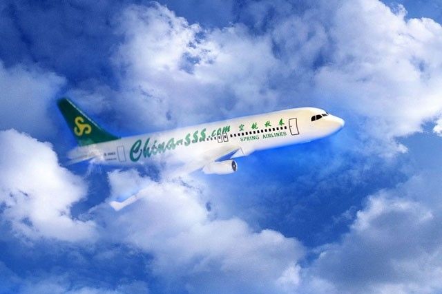 最新航班时刻表,飞行中的温情与陪伴