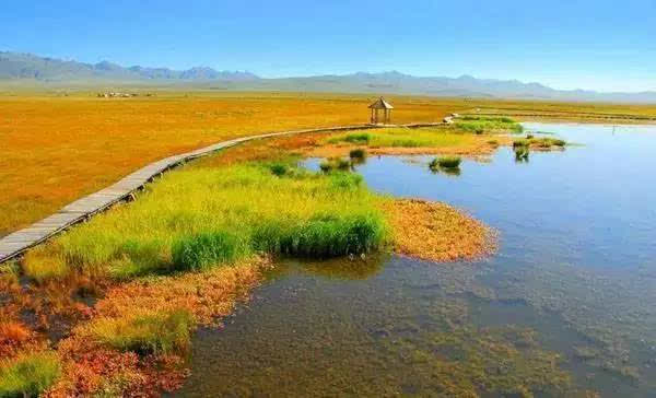 河南水灾最新消息,雨后探秘自然美景,重拾内心的宁静与平和