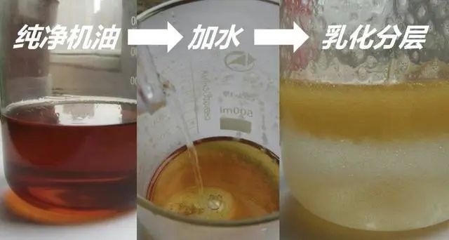 新奥彩资料大全最新版,科学解答现象研究_健康版52.321