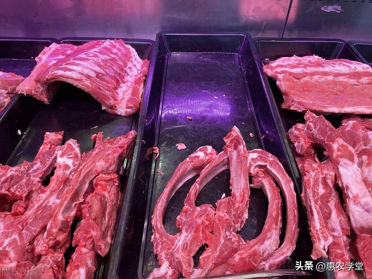 今日蒜价格最新行情,全面指南与步骤详解