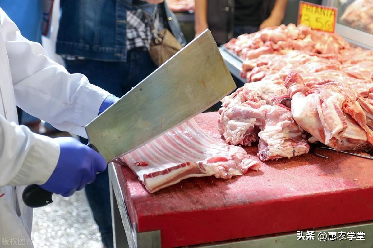 今日蒜价格最新行情,全面指南与步骤详解