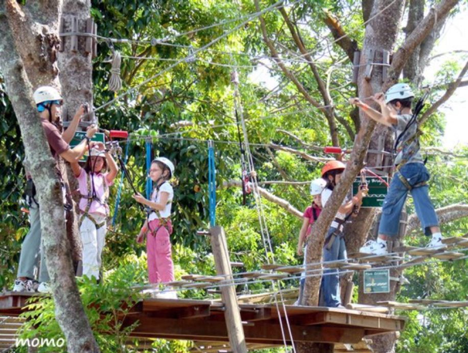 最新事件门,一场自然美景的探险之旅