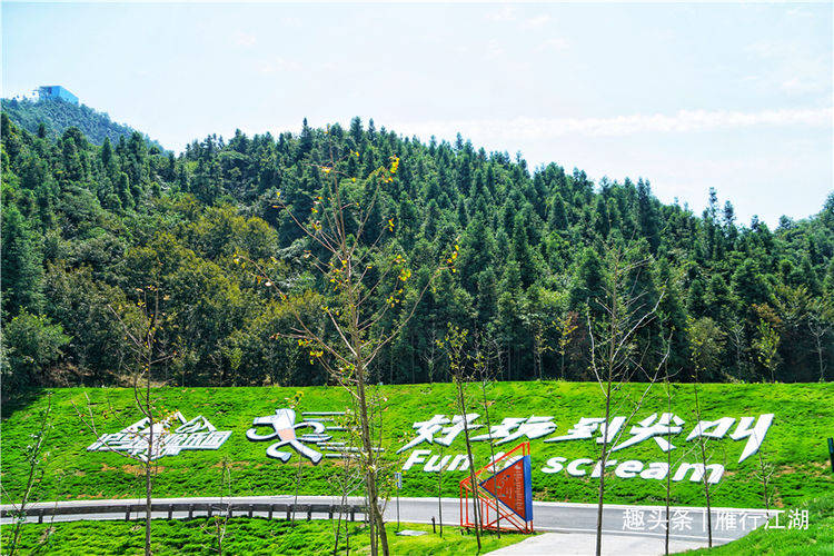 最新事件门,一场自然美景的探险之旅