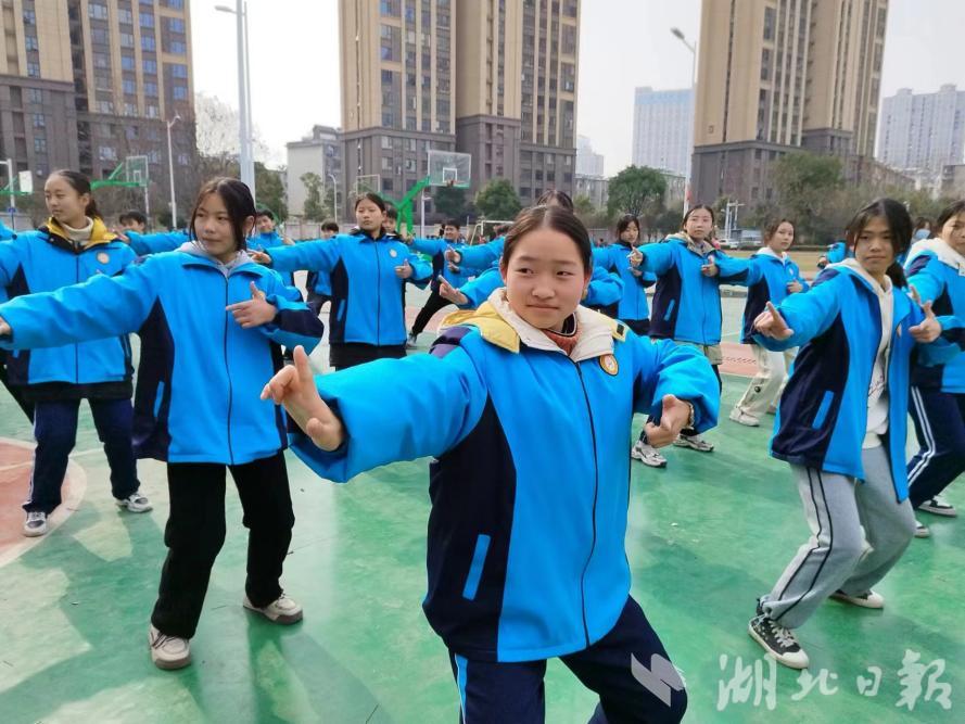 襄阳最新新闻,拥抱自然,发现内心的宁静之旅