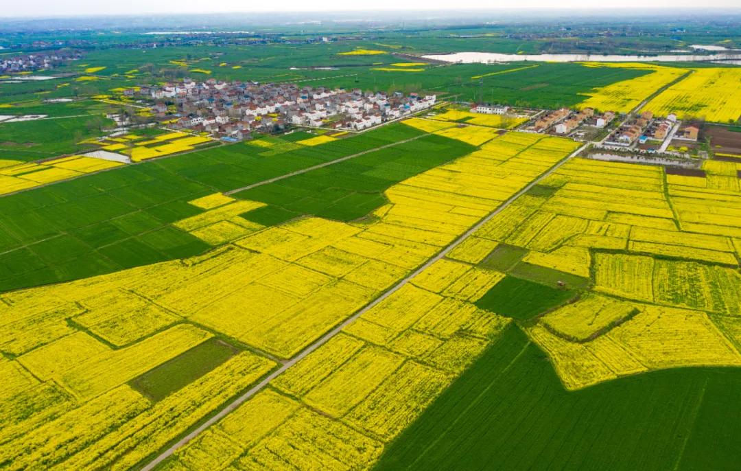襄阳最新新闻,拥抱自然,发现内心的宁静之旅