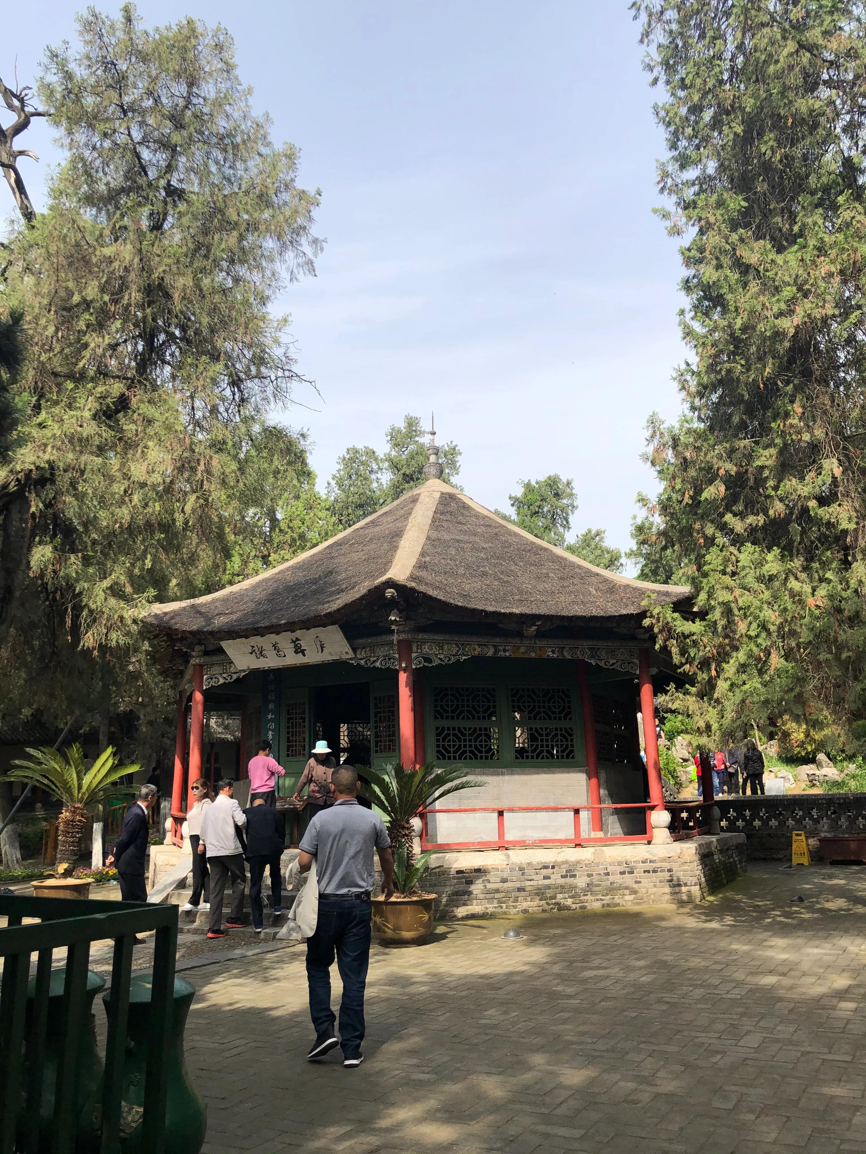 襄阳最新新闻,拥抱自然,发现内心的宁静之旅