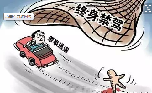 最新网逃人员的日常趣事与友情纽带