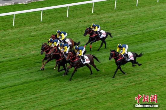 马会传真,澳门免费资料十年,快速计划设计解答_激励型23.635