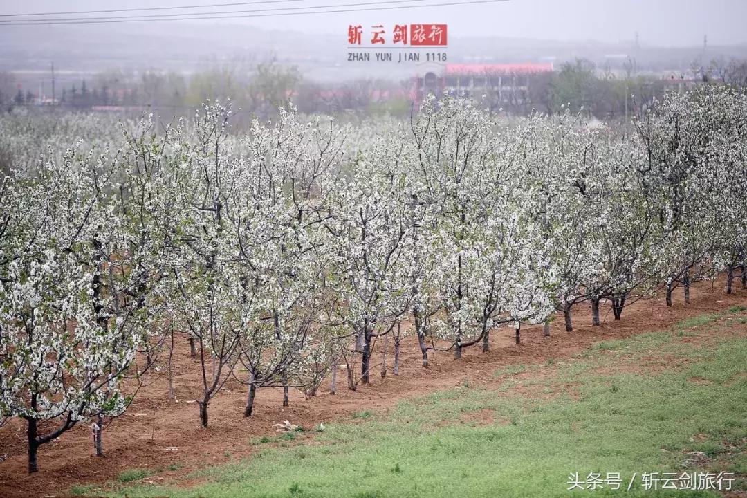 樱桃小丸子最新,动画魅力与时代的交融