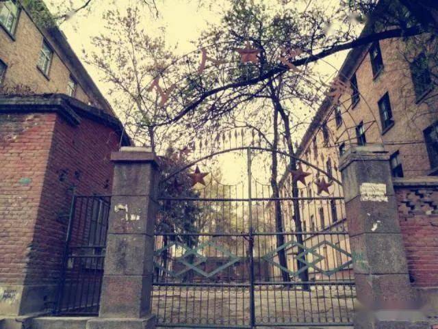 世界大学排名最新,探索小巷中的学术瑰宝与独特小店