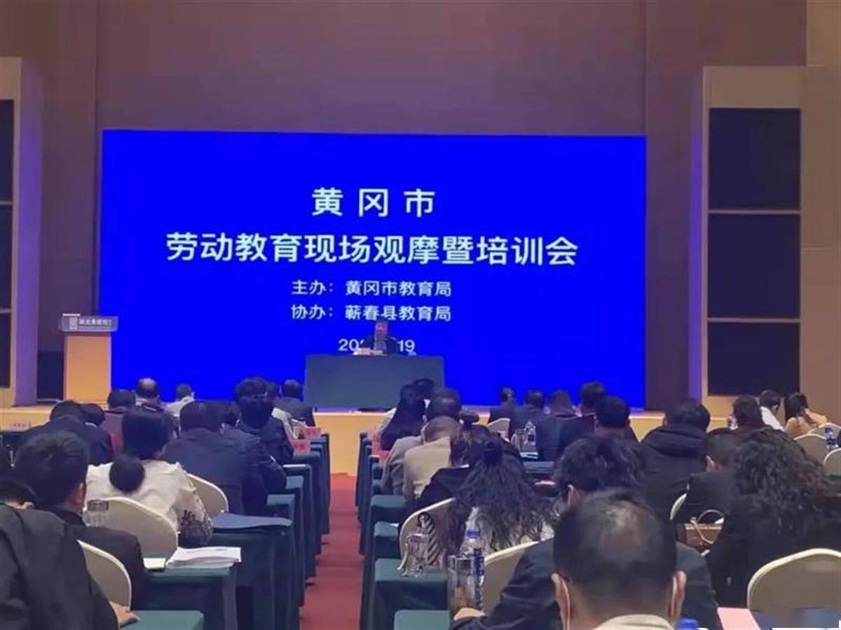 洛南新闻最新,一场多元观点的探讨