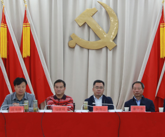 洛南新闻最新,一场多元观点的探讨