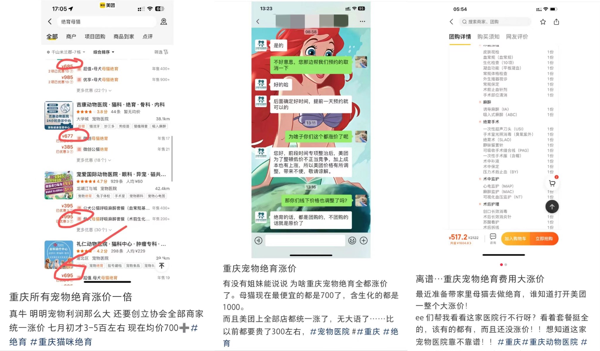 关于宠物价格最新价格的探讨