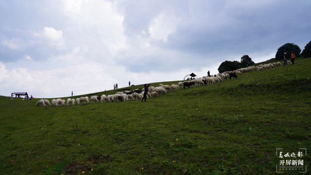 最新版监理规范,一场自然美景的探索之旅