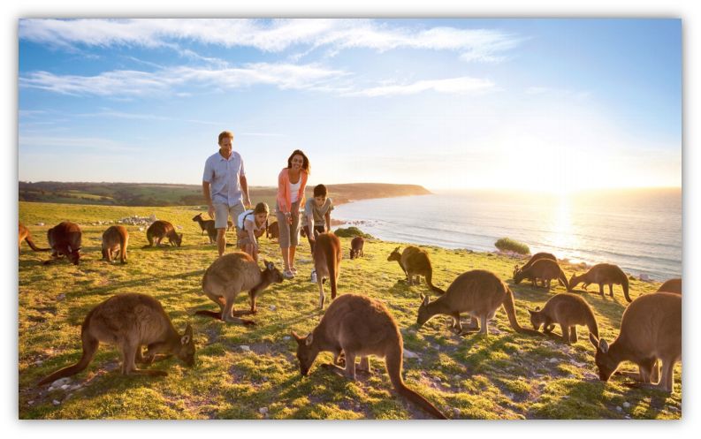 二驴最新消息,一起踏上自然美景的探索之旅