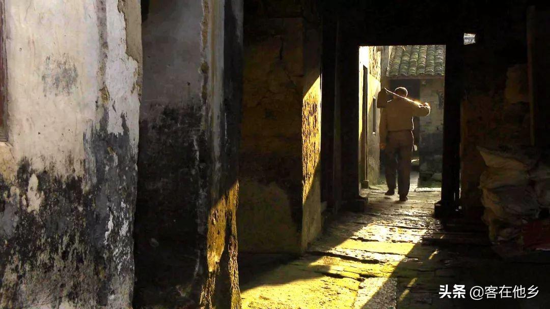 万科楼盘 最新消息,小巷深处的隐藏瑰宝探秘