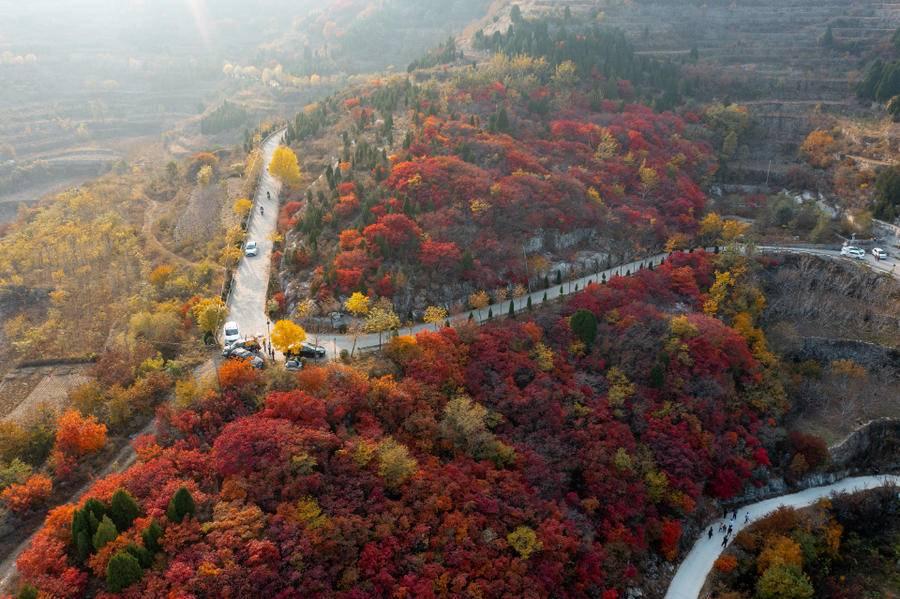 苹果最新型号,小巷中的隐藏宝藏,探索未知的科技乐园!