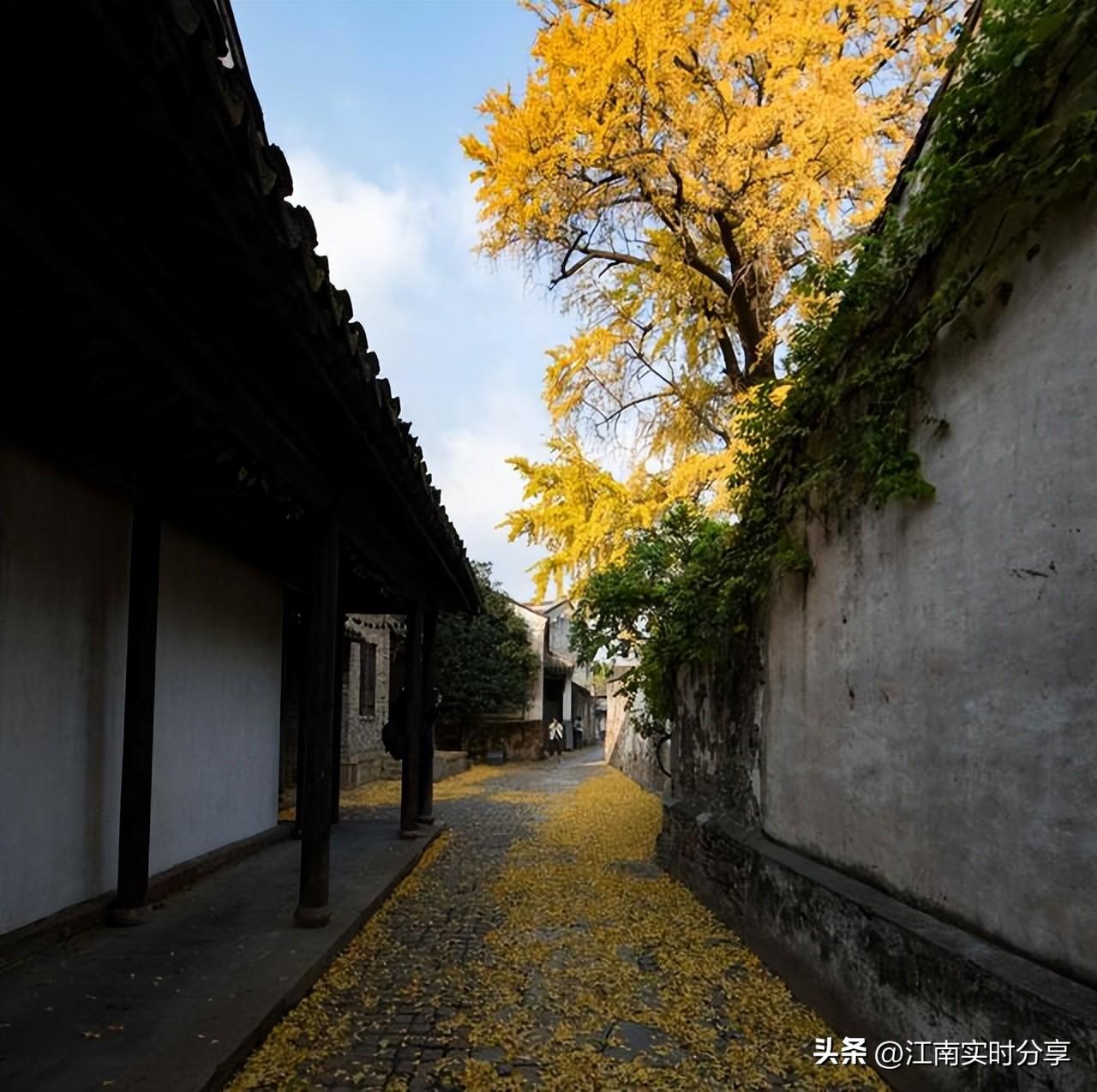 苹果最新型号,小巷中的隐藏宝藏,探索未知的科技乐园!