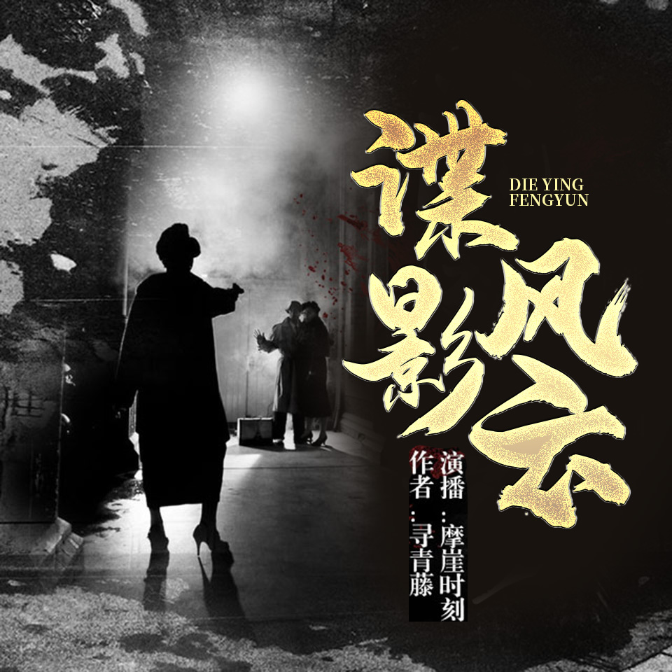 最新谍战小说,揭秘谍战世界的风云变幻