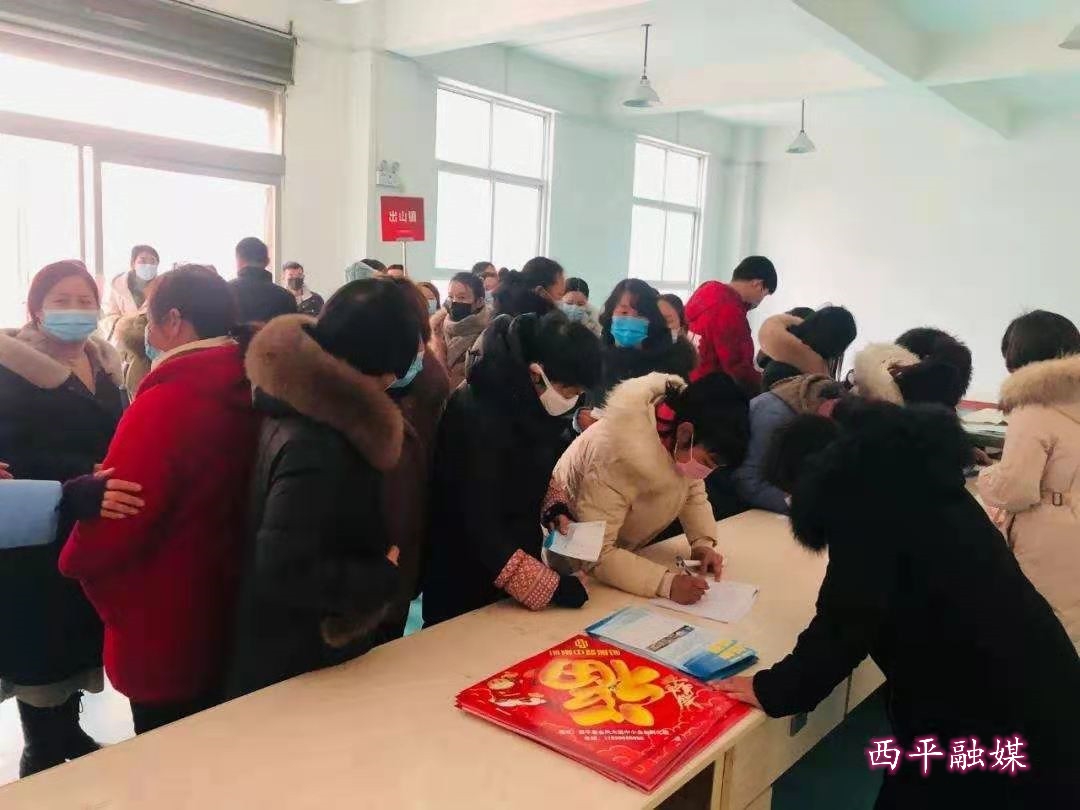 西平最新招聘信息,时代的脉搏与就业的航标